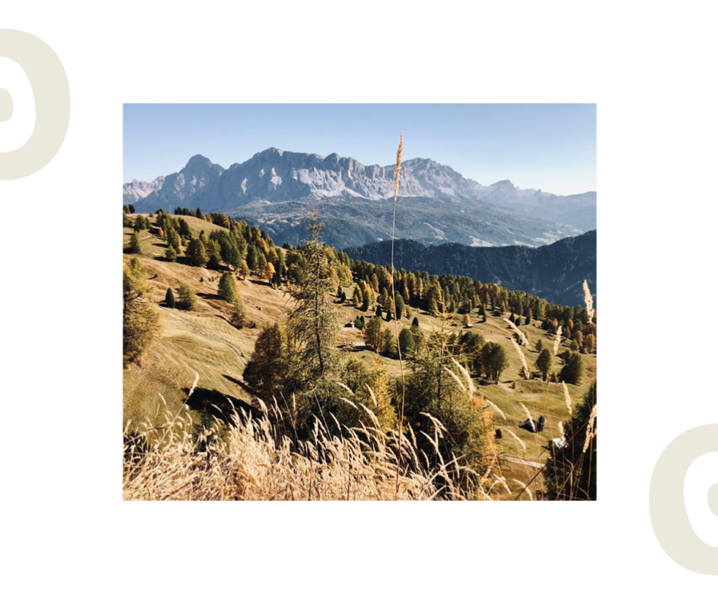 rigofree | Coaching in Südtirol außer Haus. Spazieren und wandern anstatt sitzen Das Bild zeigt die wunderschöne Sommerlandschaft mitten in den Dolomiten. Gesunde Bäume zieren eine gemähte Wiese.